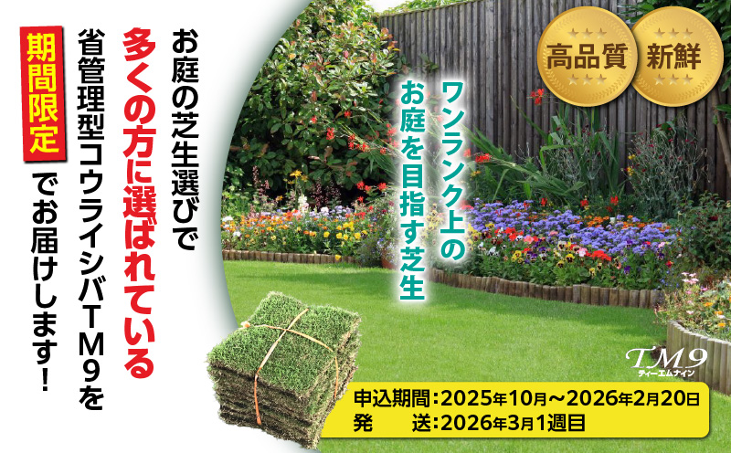 TM9（ティーエムナイン）省管理型コウライシバ トヨタ自動車(株)開発品種 50平米　KN080-007-05