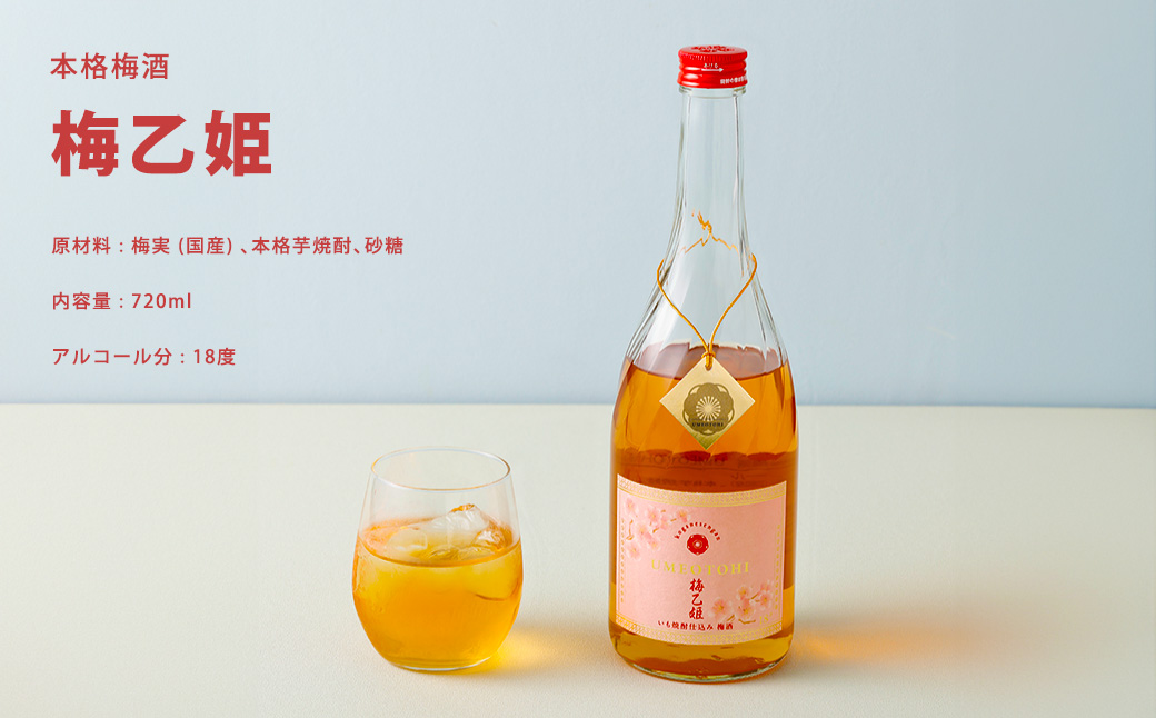 うまかぞー九州 本格梅酒 梅乙姫 720ml 梅酒　KN163-002