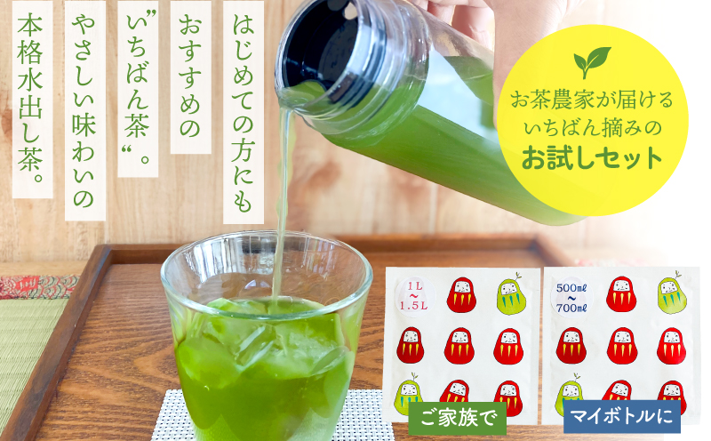 お茶農家の水出し緑茶ティーバッグ（お試しセット）　KN166-003