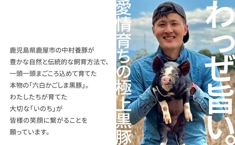 【2025年御歳暮予約】かごしま黒豚しゃぶしゃぶ 800g 熨斗対応（名入れ不可）/贈答用箱入り　KN167-001