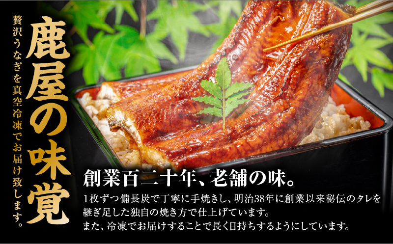 大隅産うなぎのかば焼き 2尾　KN174-001-02