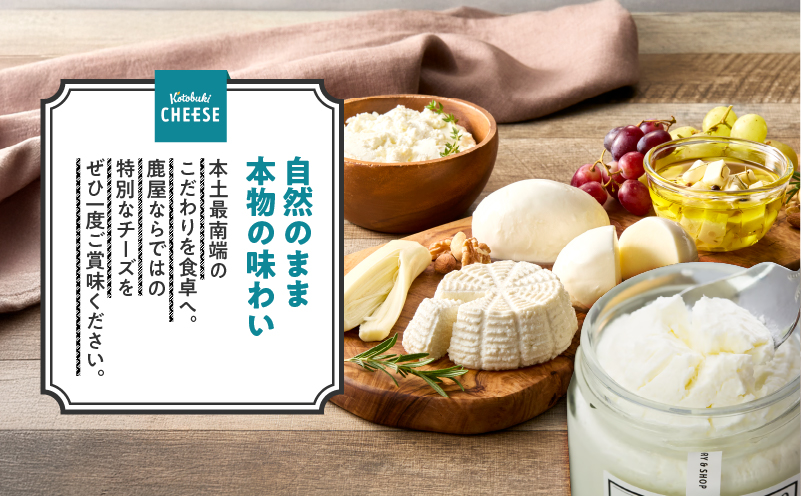 1128 フレッシュチーズ6種/ギリシャヨーグルトセット　KN087-002