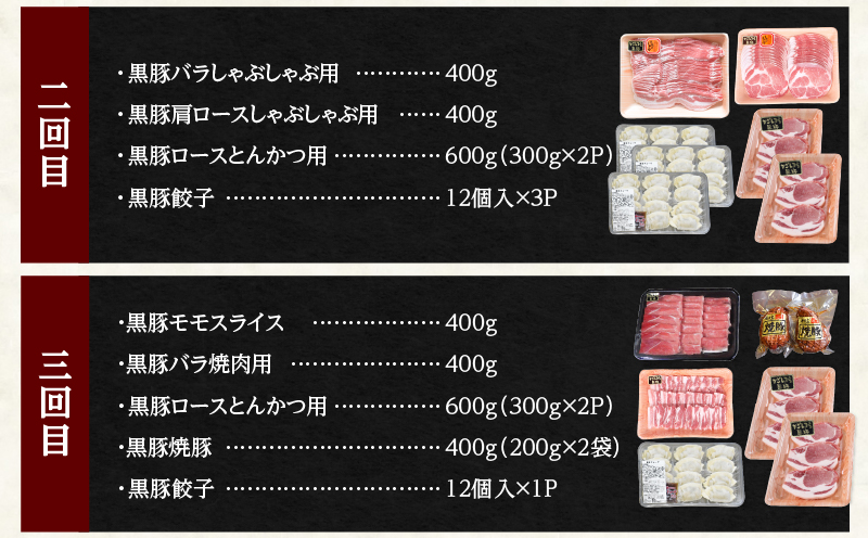 1283-2 鹿児島黒豚まんぞく定期【全5回】　KN038-T01