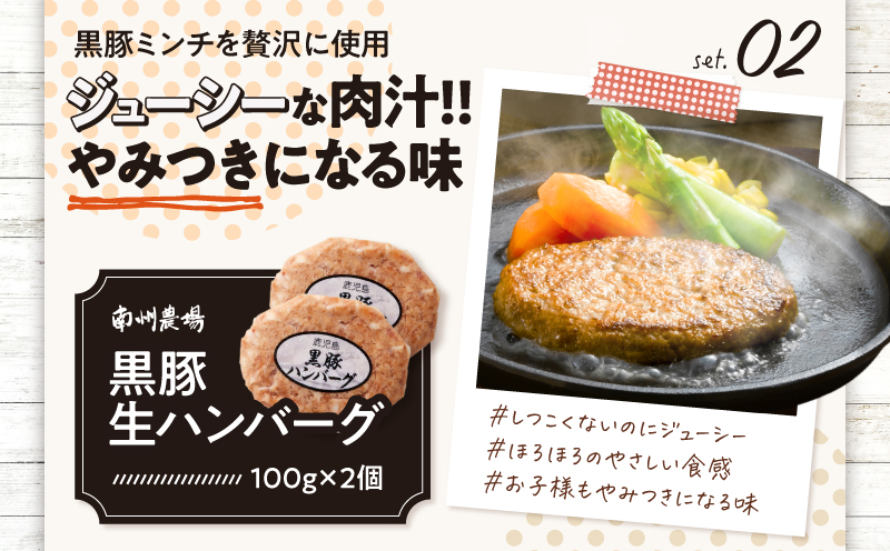 1393 南州農場 黒豚バラエティ詰合せ（NNF-3278）　KN005-001