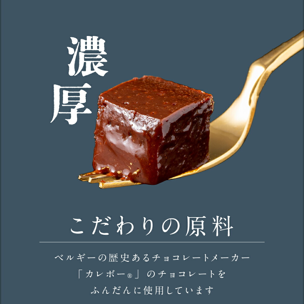 2027 オクタス テリーヌショコラ 2箱（280g×2本）　KN021-026-02