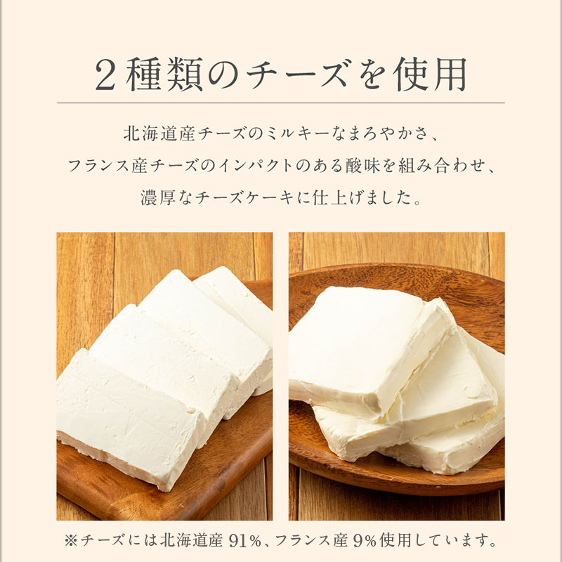 2028 オクタス チーズケーキ 2箱（250g×2本）　KN021-028-01