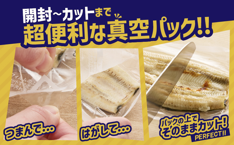 2080-1 鹿児島県大隅産うなぎ白焼き3尾 計360g 【3ヶ月定期】　KN007-T02