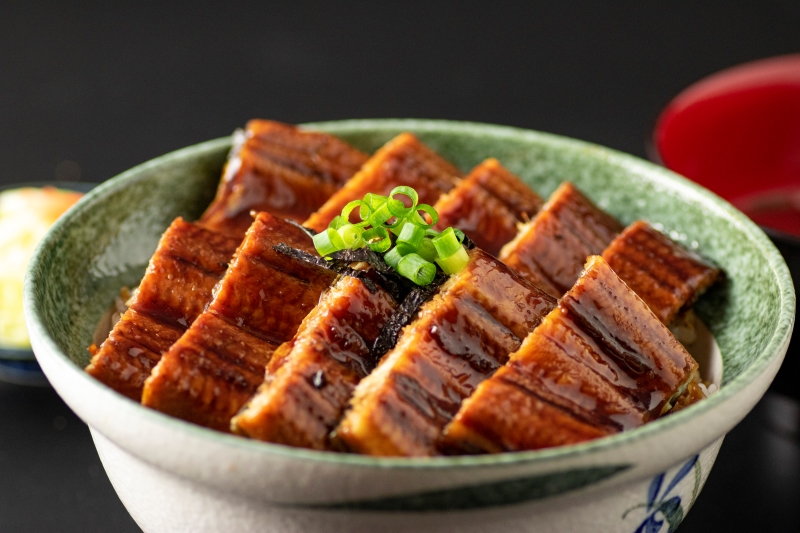 2443 鹿児島産うなぎ 合計510g（170g×3尾）　KN021-014-03