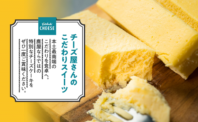 2554 チーズ屋さんのチーズケーキ　KN087-008