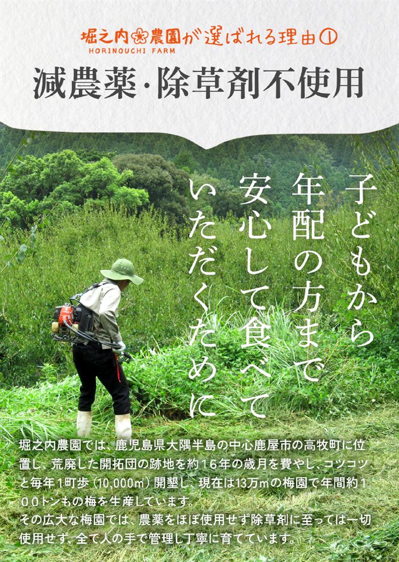 2587 ＜訳あり＞ つぶれ梅 梅干し かのや南高梅 食べ比べ E  （はちみつ梅・しそ梅・レモン風味） 3種類 ×各3袋　KN033-007-02