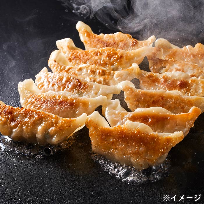 2773 かごしま夢幻豚餃子 12個×5P　KN021-037-01