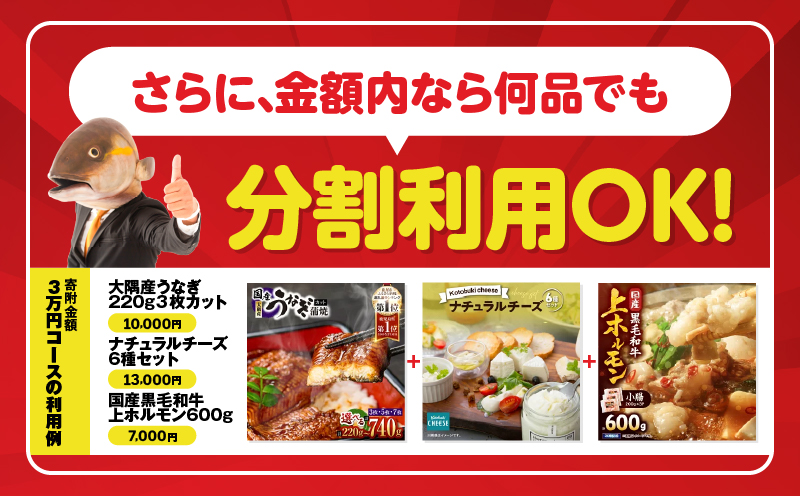 あとからセレクト【ふるさとギフト】1,500万円　KN000-AS1500
