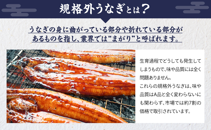 クラウドファンディングで応援！【全12回定期便】鰻の蒲焼 5尾（170g×5）　KN026-T09