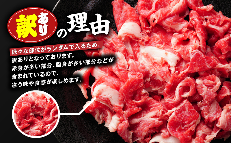 【訳あり】鹿児島県産 黒毛和牛 切り落とし肉 1kg（500g×2P）　KN050-042