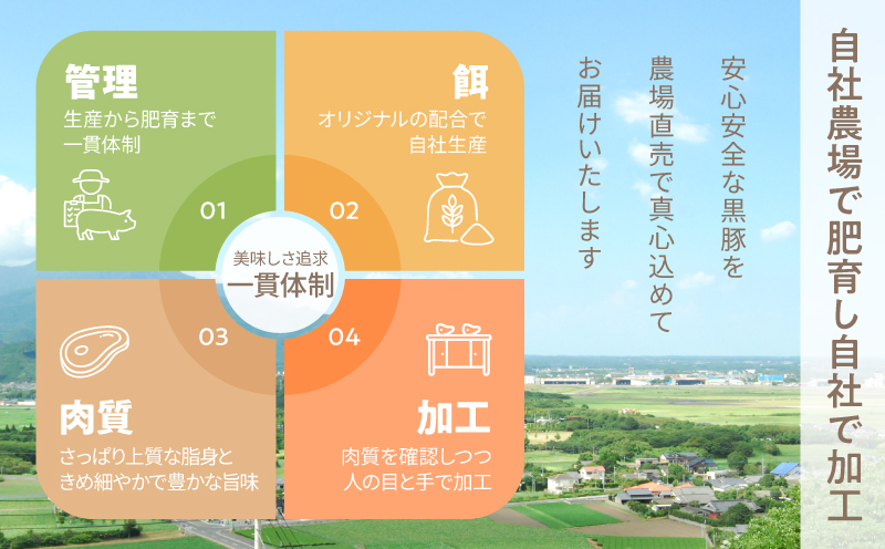 鹿児島県産 黒豚ロースしゃぶしゃぶ 500g、ロース生姜焼 500gセット　KN054-018