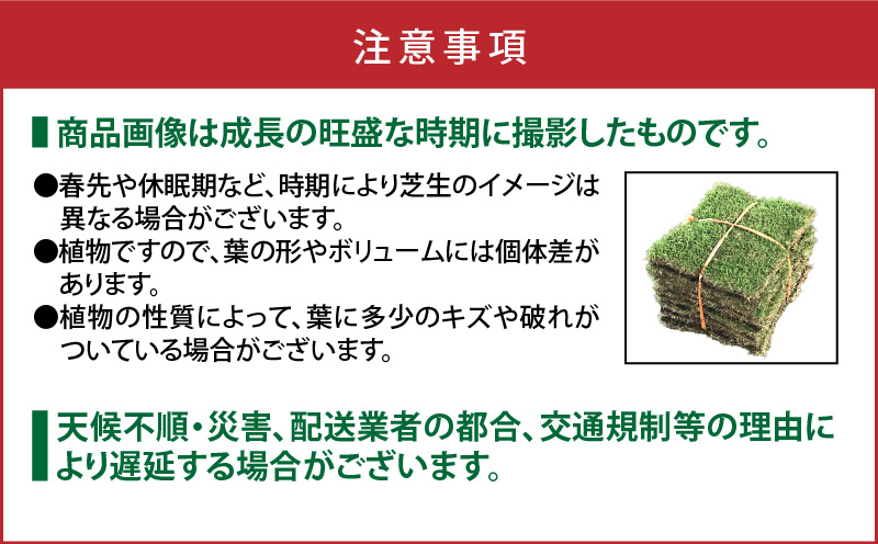 TM9（ティーエムナイン）省管理型コウライシバ トヨタ自動車(株)開発品種 2平米　KN080-007-02