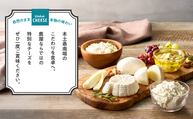 【全12回定期便】kotobuki cheeseナチュラルチーズセット　KN087-T02