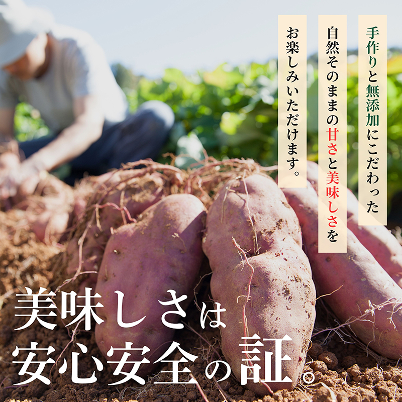 2680 濃密 鹿児島県産 熟成 安納芋 冷凍 焼き芋 3kg（500g×6袋）さつまいも　KN097-002-04