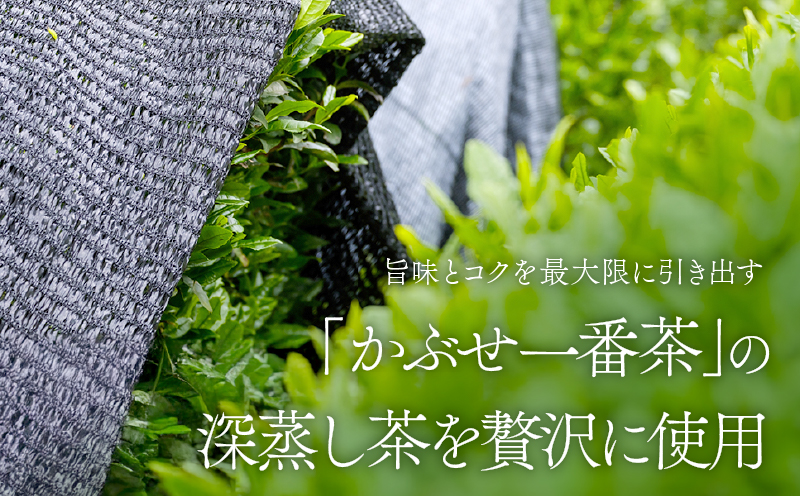 特上煎茶 清紹庵 100g（100g×1本）　KN162-001-01