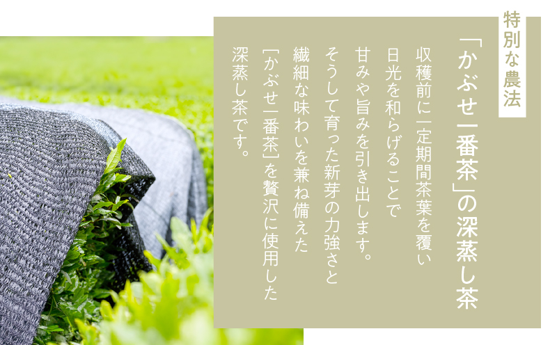 華ゆらぎ 1kg（100g×10本）　KN162-003-04