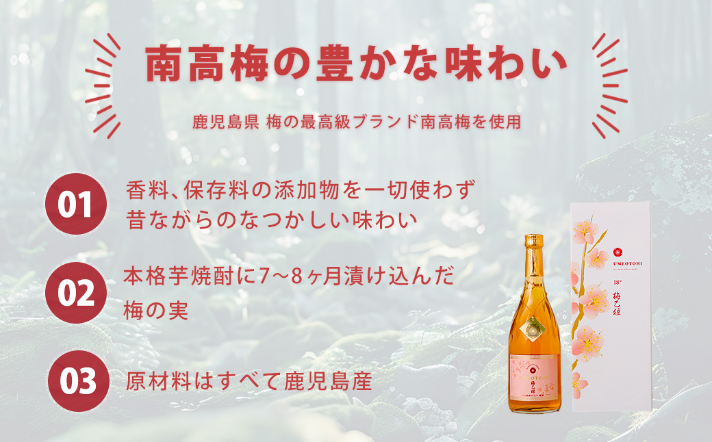 うまかぞー九州 本格梅酒 梅乙姫 720ml 梅酒　KN163-002