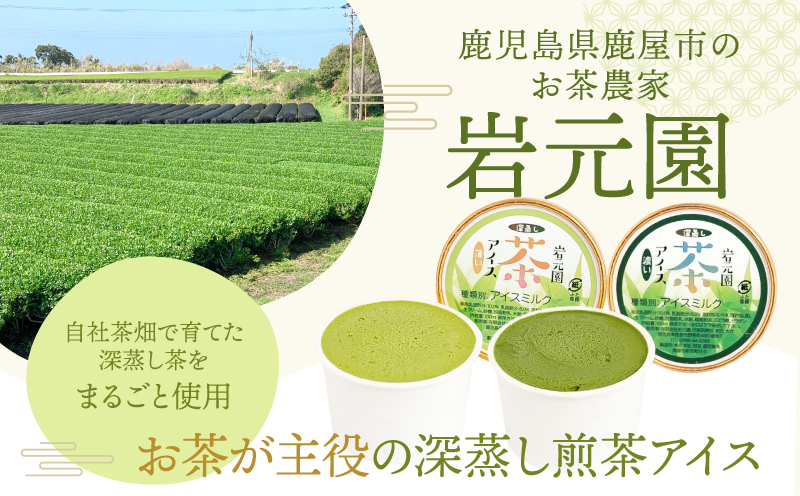 お茶農家の深蒸し茶アイス（濃・薄 各6個 計12個）　KN166-001-02