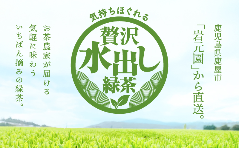 お茶農家の水出し緑茶ティーバッグ（お試しセット）　KN166-003