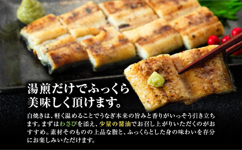 大隅産うなぎの白焼き 1尾　KN174-002-01