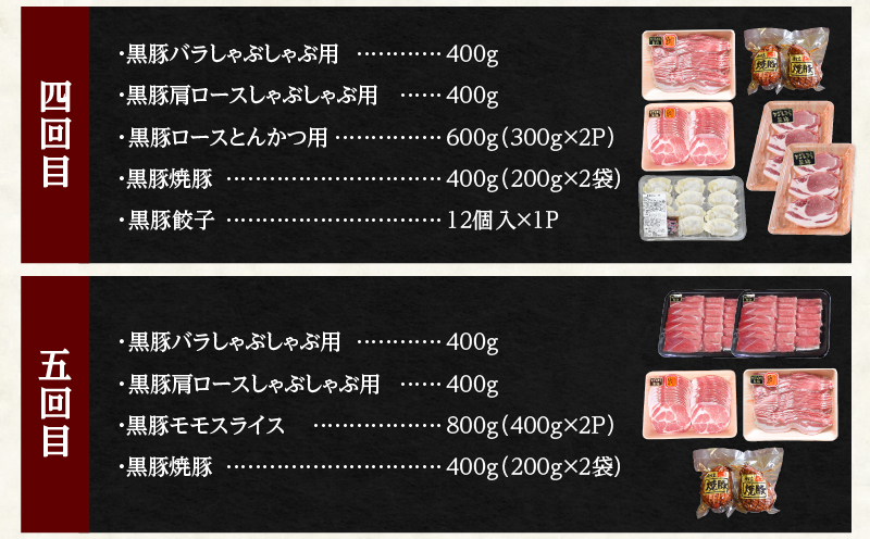 1283-2 鹿児島黒豚まんぞく定期【全5回】　KN038-T01