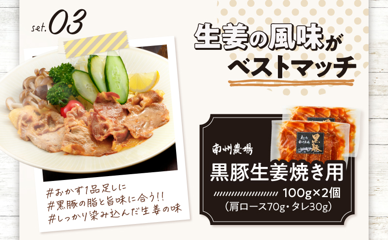 1393 南州農場 黒豚バラエティ詰合せ（NNF-3278）　KN005-001