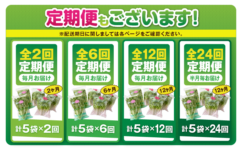 1627-2 【全6回定期便】洗わずに食べられる プレミアム水耕栽培レタスセット（計5袋）　KN064-T02