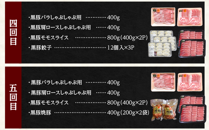 2030-1 黒豚バラエティふるさと定期A【全5回】　KN038-T03