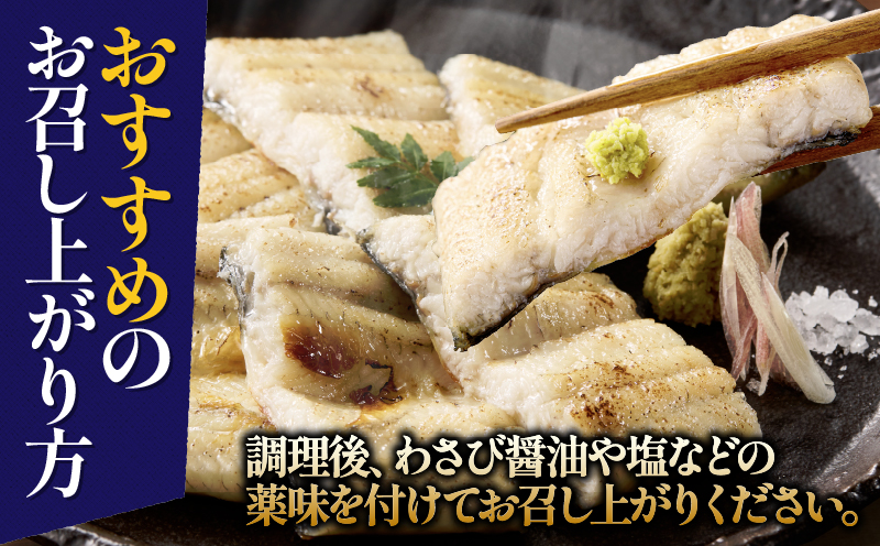 2080-1 鹿児島県大隅産うなぎ白焼き3尾 計360g 【3ヶ月定期】　KN007-T02