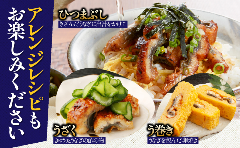 2083-1 鹿児島県大隅産うなぎ蒲焼8尾（1.2kg）【6ヶ月定期】　KN007-T05