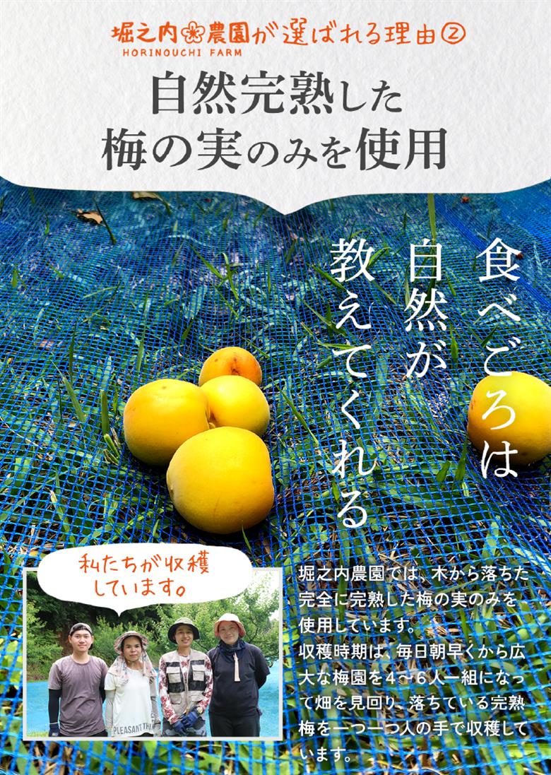 2589 ＜訳あり＞ つぶれ梅 梅干し かのや南高梅 食べ比べ G  （はちみつ梅×4、しそ梅×4、レモン風味×1） 計9袋 ×300g （計2.7kg）　KN033-007-04