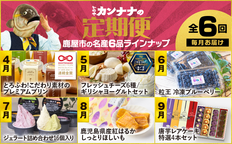 【全6回】鹿屋カンナナ便　KN000-T10