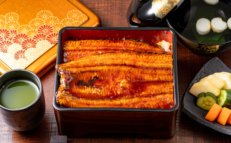 鹿児島産 超特大うなぎ蒲焼240g×3尾　KN021-042-03