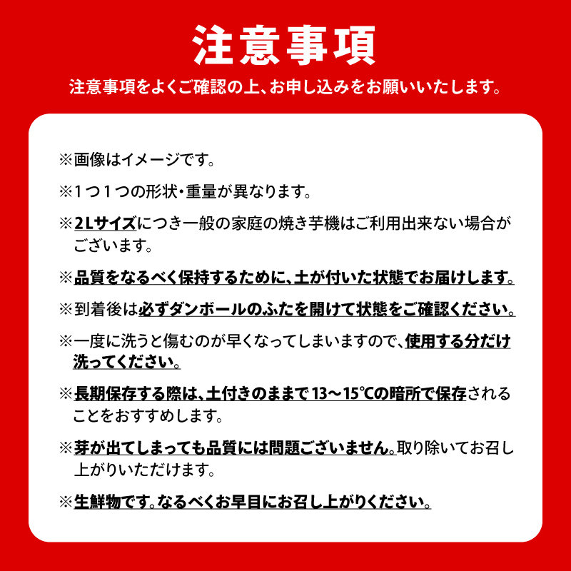 鹿児島県鹿屋産 紅はるか 生芋 2Lサイズ 6kg　KN021-043-02