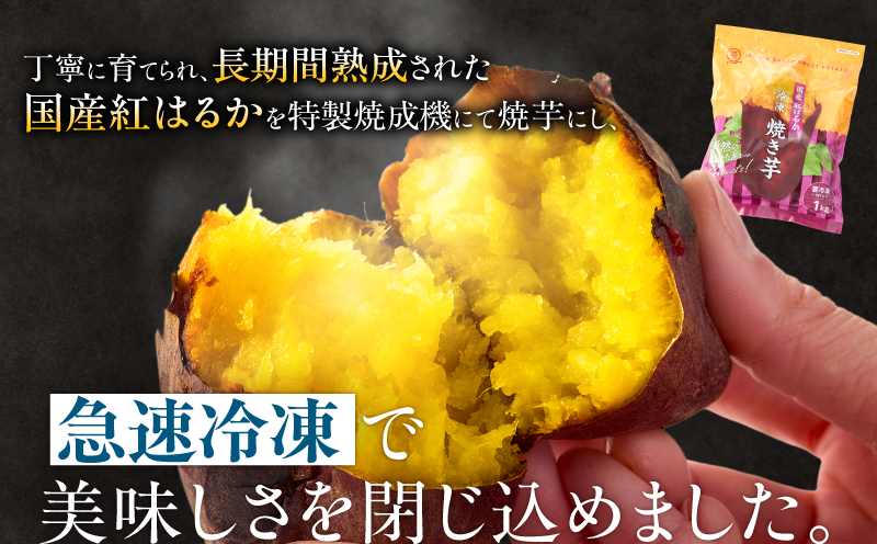 クラウドファンディングで応援！鰻の蒲焼に人気の紅はるか詰め合わせ 3尾＋冷凍焼き芋 1kg　KN026-021-03