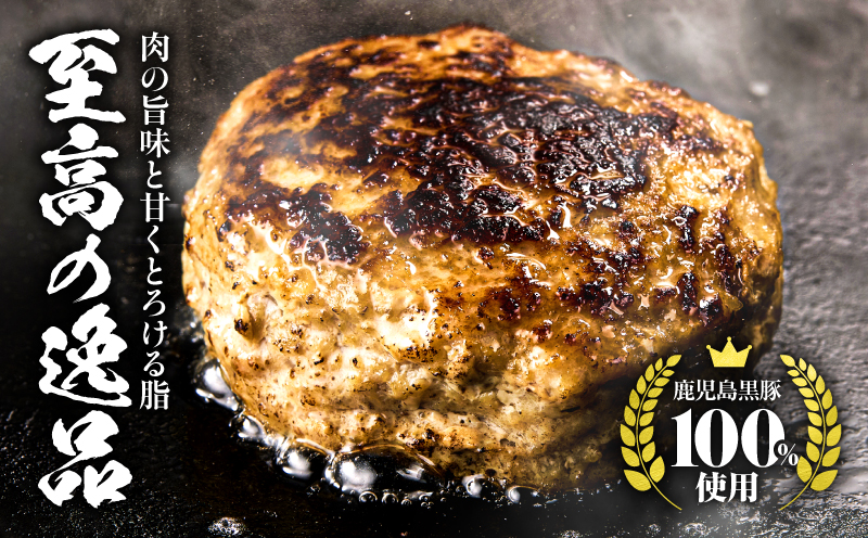 鹿児島県産黒豚生ハンバーグ 800g（80g×10個）　KN054-013