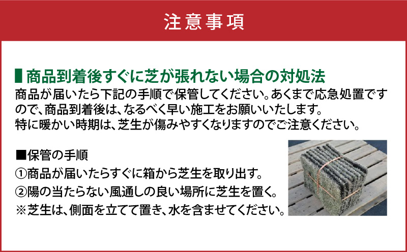 TM9（ティーエムナイン）省管理型コウライシバ トヨタ自動車(株)開発品種 1平米　KN080-007-01
