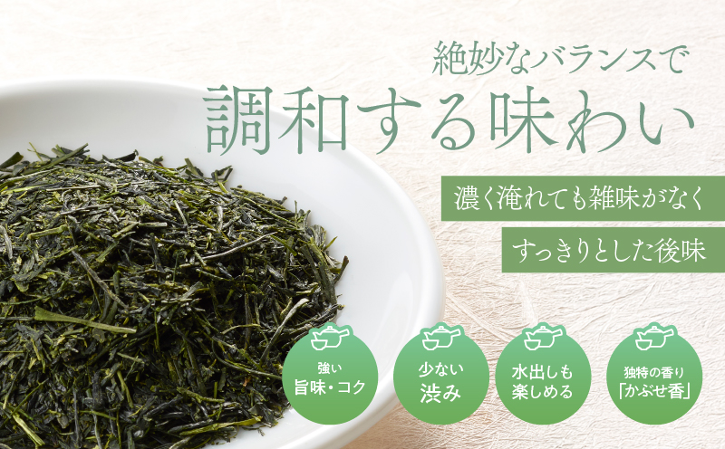 特上煎茶 清紹庵 500g（100g×5本）　KN162-001-03