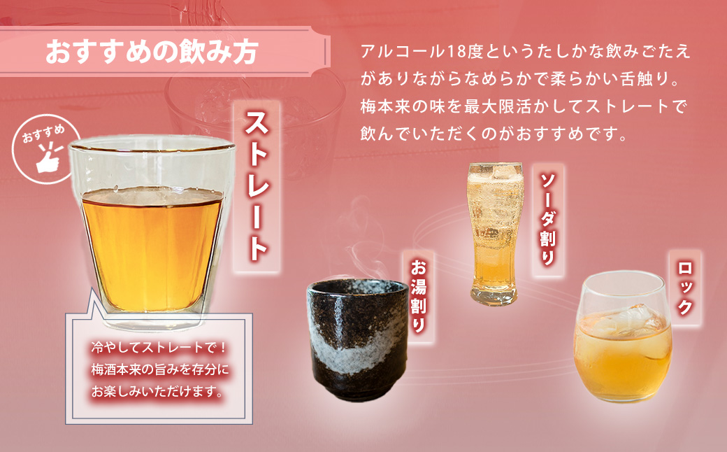 うまかぞー九州 本格梅酒 梅乙姫 720ml 梅酒　KN163-002