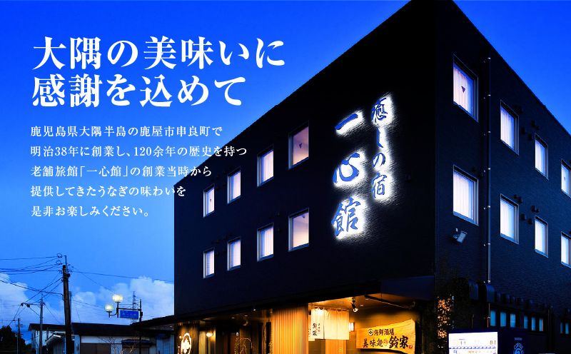 大隅産うなぎの白焼き 1尾　KN174-002-01