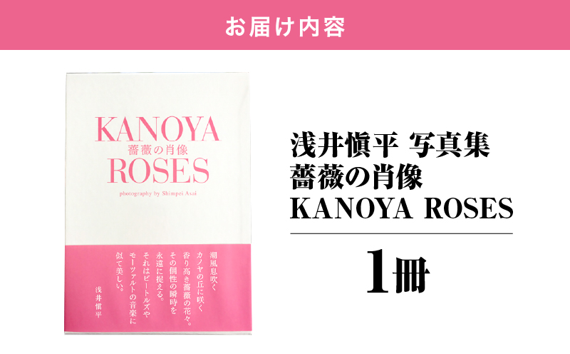 1031 浅井愼平写真集 薔薇の肖像 KANOYA ROSES　KN002-001