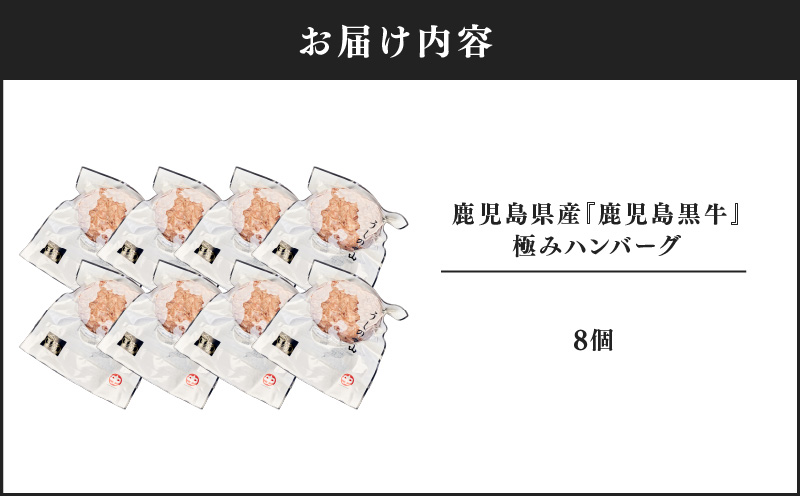 1104 鹿児島県産『鹿児島黒牛』極めたハンバーグ8個　KN050-001-03