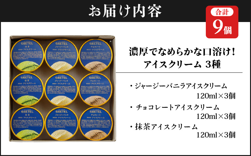 アイスクリーム アイス 濃厚でなめらかな口溶け！アイスクリーム3種9個 バニラ チョコレート 抹茶 スイーツ お菓子 ギフト プレゼント 洋菓子 人気 詰め合わせ【財宝】　KN021-025-01