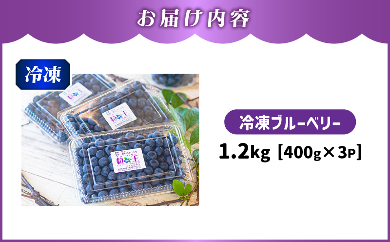 141-3 粒王 冷凍ブルーベリー1.2kg（400g×3P）　KN030-002