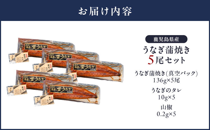 1651-1 鹿児島県産 うなぎ蒲焼き 5尾セット　KN058-002-05