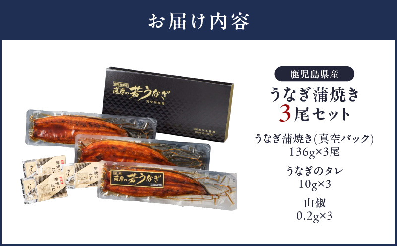 1653-1 鹿児島県産 うなぎ蒲焼き3尾セット　KN058-002-03